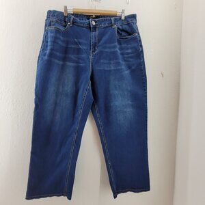 Alivia Ford Jeans Women's 22W SHORT Blue (Hemmed to 26.5) Stretch